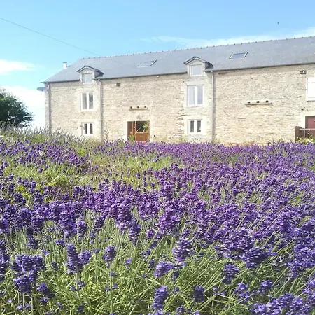 Cottage In Normandy Near Chateau Balleroy, Cleaning Included *