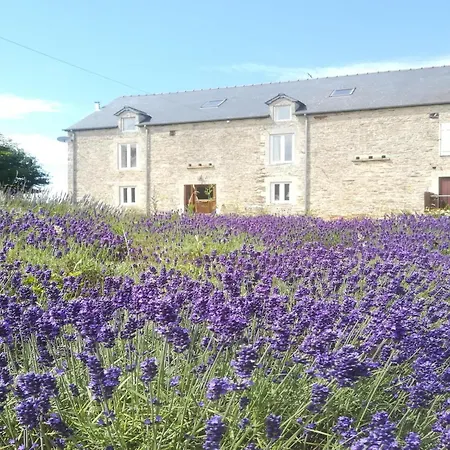 Cottage In Normandy Near Chateau Balleroy, Cleaning Included Casa de Férias